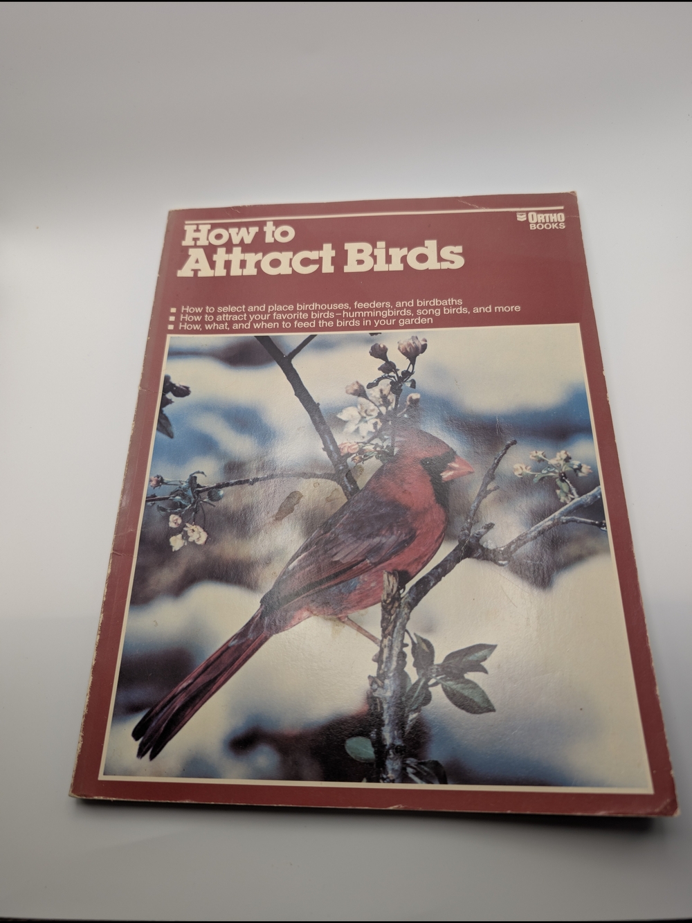 HOW TO ATTRACT BIRDS -1983 Ortho Books - Sunset Attracting Birds Guide & Feeders